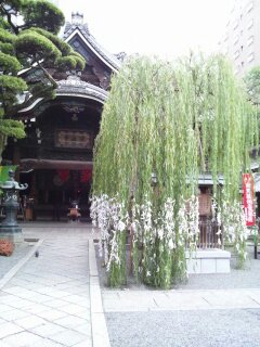 f0109635_20514771.jpg