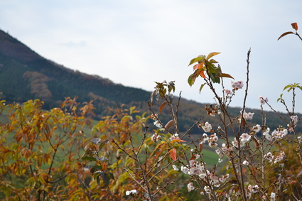 e0228938_1875721.jpg