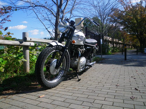 d0252642_2139921.jpg