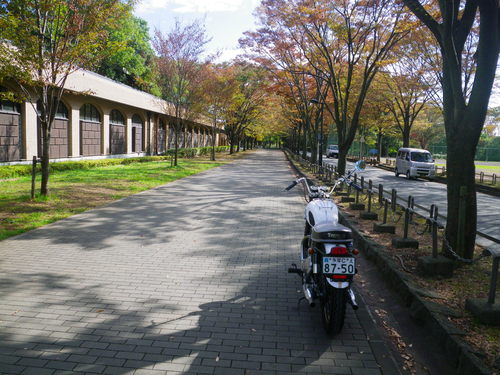 d0252642_21453614.jpg