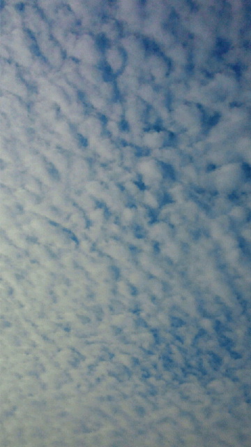 b0195849_23738100.jpg