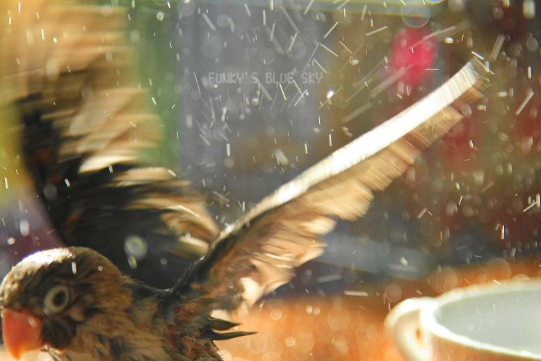 c0145250_12111372.jpg