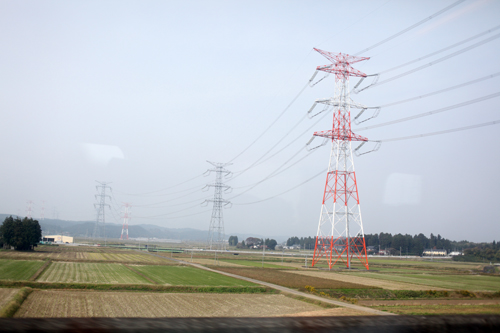 e0076761_1431165.jpg