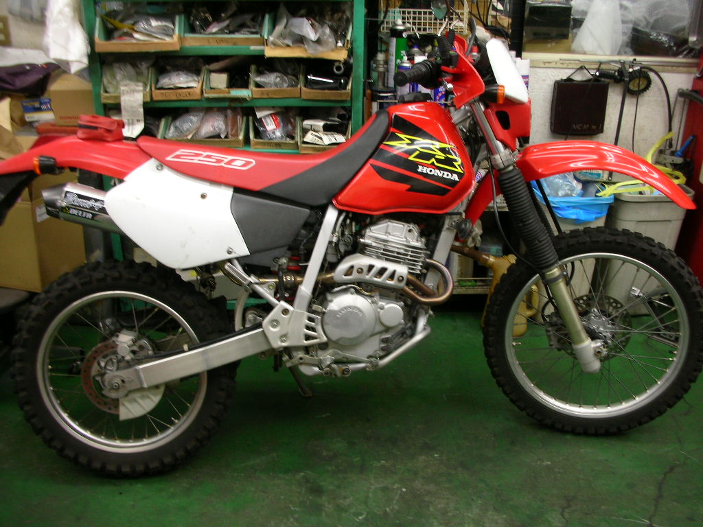 f0186368_2042542.jpg