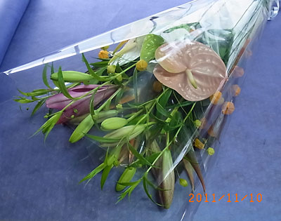 e0097770_16374639.jpg