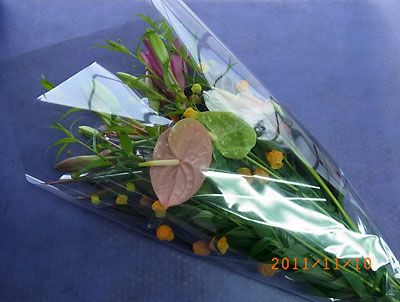 e0097770_1638131.jpg