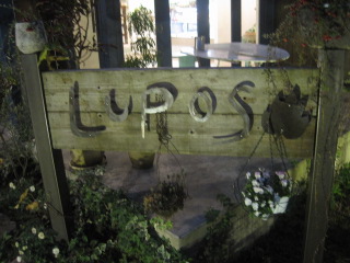 a0195177_10274051.jpg