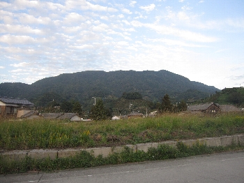 f0003283_175573.jpg