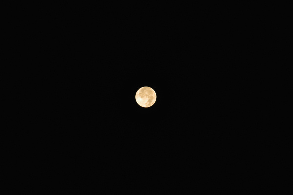 e0051186_6112929.jpg