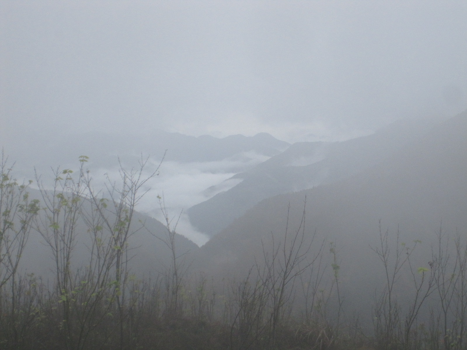 b0050787_892422.jpg