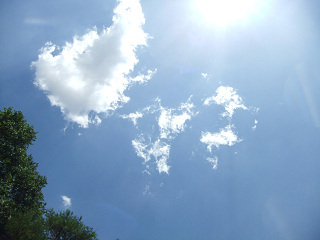 b0191887_5444261.jpg