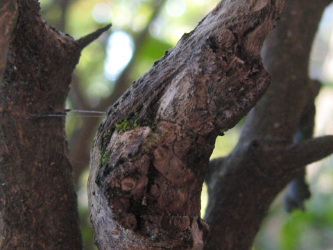 b0194593_1383175.jpg