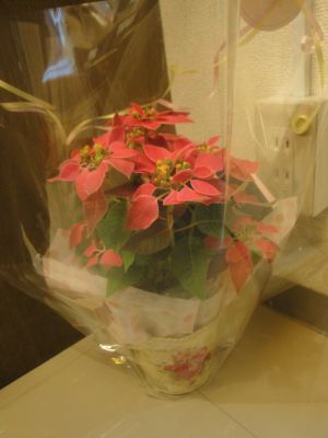 e0166301_1854546.jpg