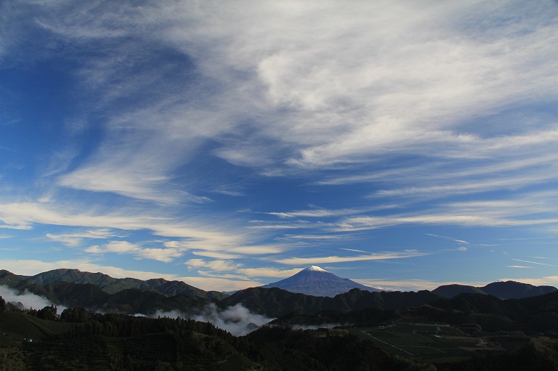 a0188405_13592327.jpg