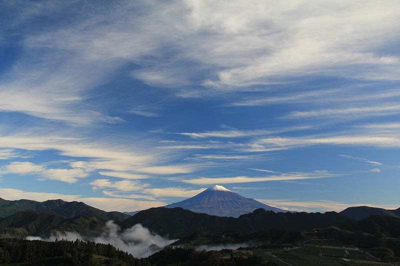 a0188405_13593243.jpg