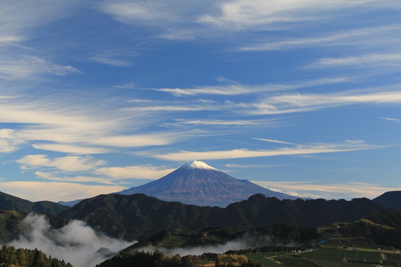 a0188405_13594110.jpg