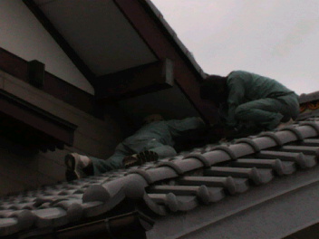 f0127408_235788.jpg