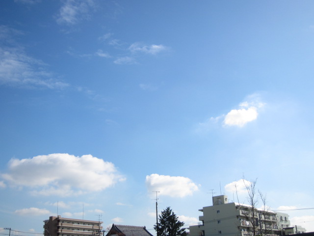 d0150309_18453495.jpg
