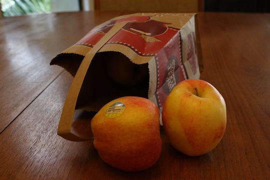 a0112911_9371819.jpg