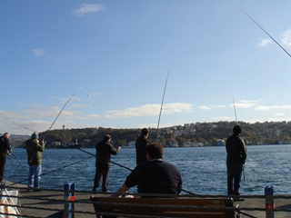 b0182718_5412440.jpg