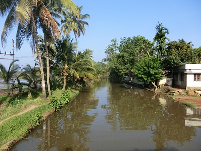 d0074518_2154393.jpg