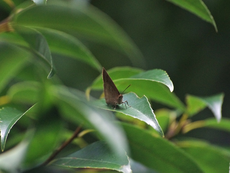 f0160222_21362614.jpg