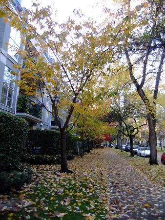 f0111926_1953113.jpg