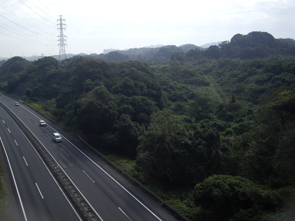 a0161427_11563834.jpg