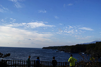 d0070327_13542582.jpg