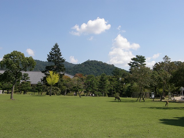 b0162728_20313810.jpg