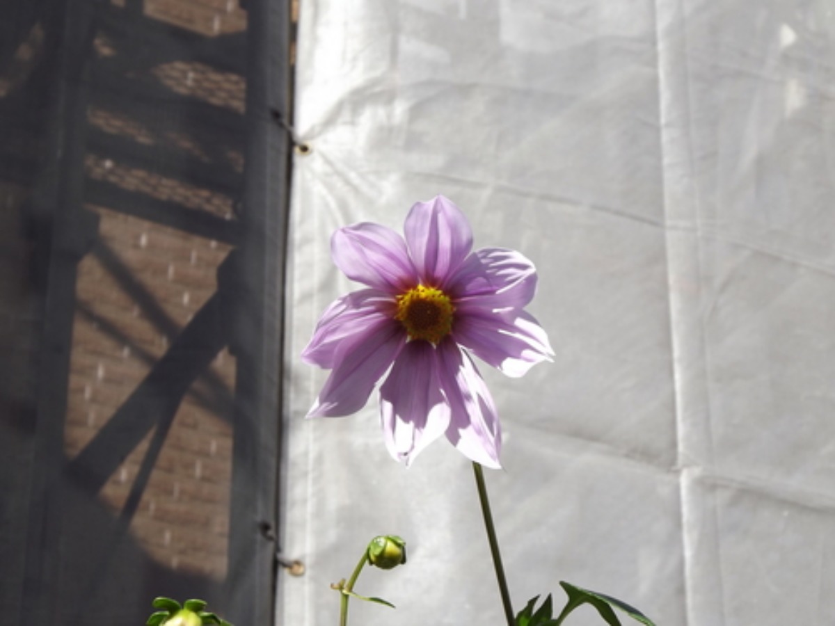 e0033229_13301681.jpg