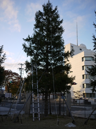 e0206031_182593.jpg