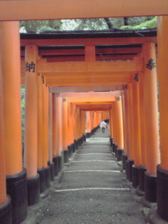 e0081334_115505.jpg