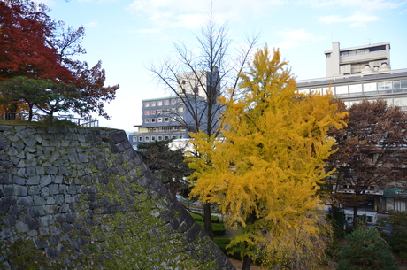d0156438_12111628.jpg