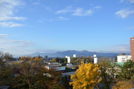 d0156438_12143320.jpg