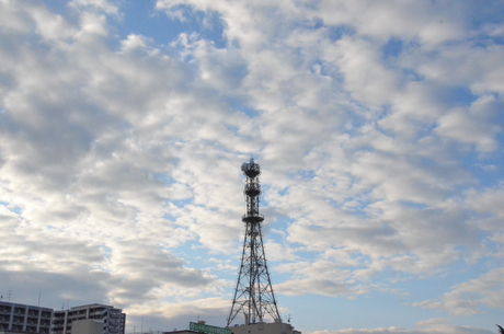 d0156438_1244960.jpg