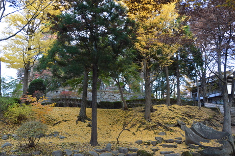 d0156438_129356.jpg
