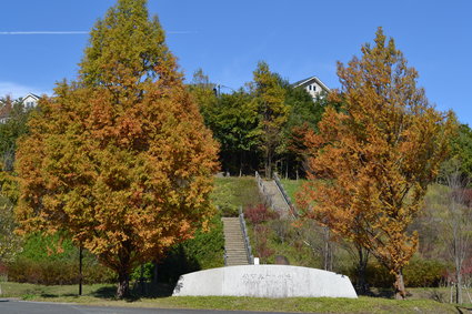 e0228938_20313860.jpg
