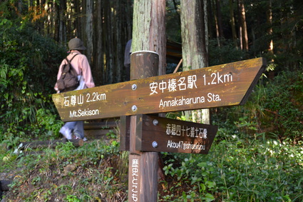 e0228938_2038698.jpg