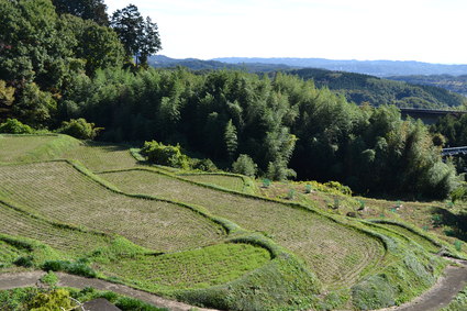 e0228938_205558.jpg
