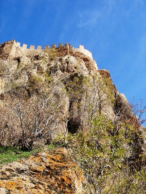 d0227344_244821.jpg