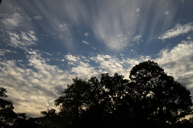 f0108553_2014099.jpg