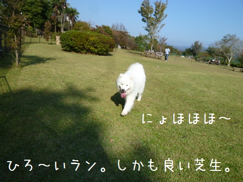 a0166954_22443674.jpg