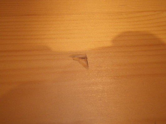 a0212460_15545031.jpg