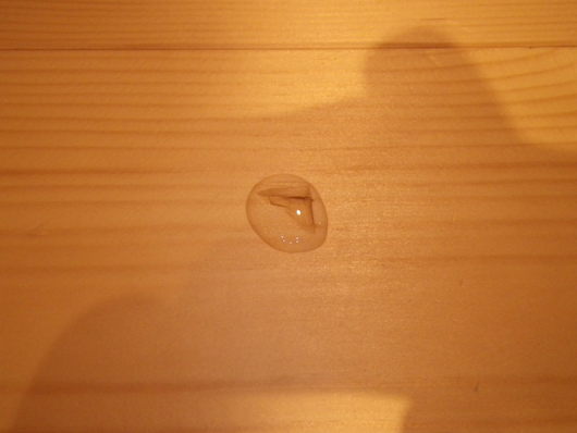 a0212460_15585424.jpg