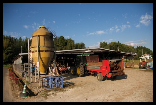 d0171463_0323119.jpg