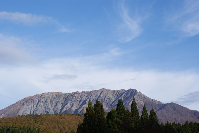 a0091666_21593637.jpg