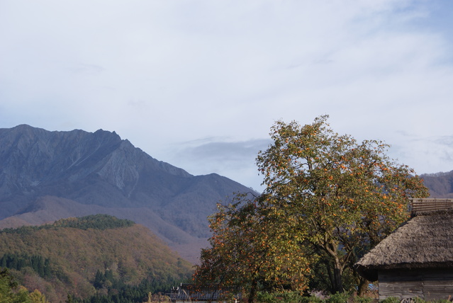 a0091666_2264115.jpg