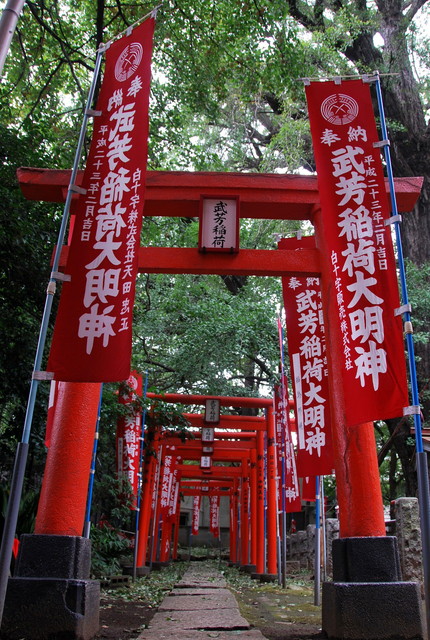 b0174068_0415288.jpg