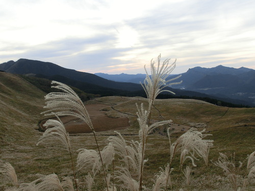 c0171468_23581382.jpg
